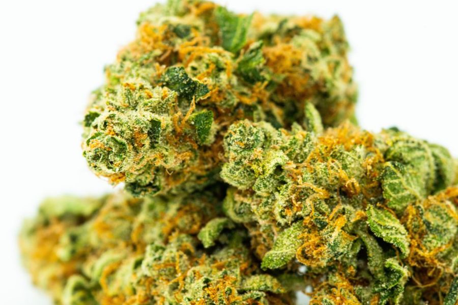 Cannabis Haven about safety
