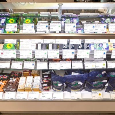 1150 Center Street — Recreational photo 3