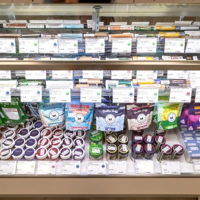 1150 Center Street — Recreational photo 4