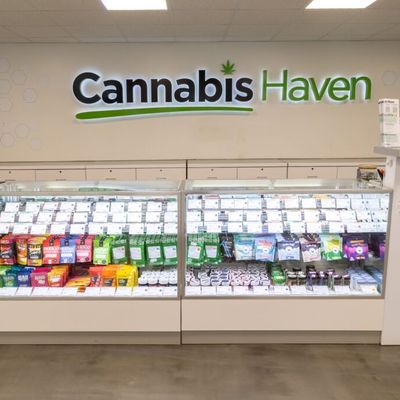 1150 Center Street — Recreational photo 11