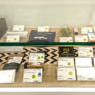 1150 Center Street — Recreational photo 16