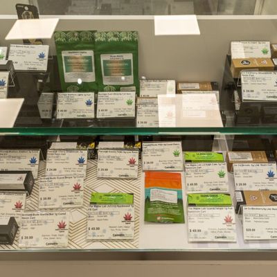 1150 Center Street — Recreational photo 18