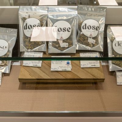 1150 Center Street — Recreational photo 23