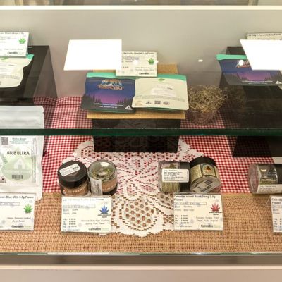 1150 Center Street — Recreational photo 27