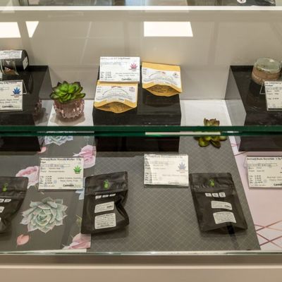 1150 Center Street — Recreational photo 30