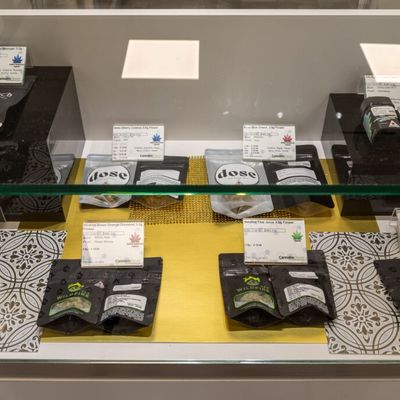 1150 Center Street — Recreational photo 31